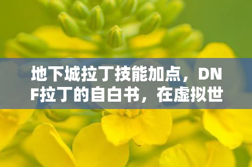 地下城拉丁技能加点，DNF拉丁的自白书，在虚拟世界的自我探索与成长