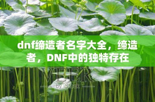 dnf缔造者名字大全,缔造者,DNF中的独特存在 dnf缔造者名字大全,缔造者,DNF中的独特存在