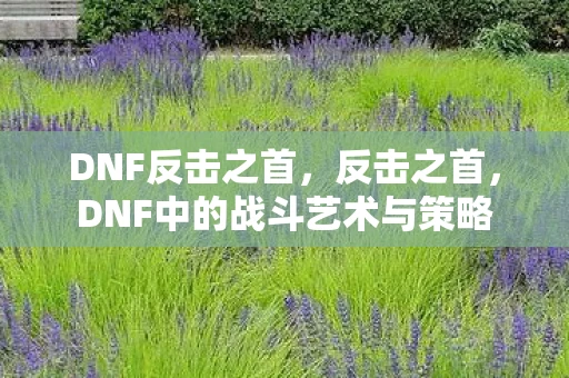 DNF反击之首，反击之首，DNF中的战斗艺术与策略
