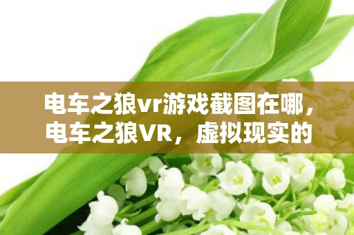 电车之狼vr游戏截图在哪，电车之狼VR，虚拟现实的惊悚冒险