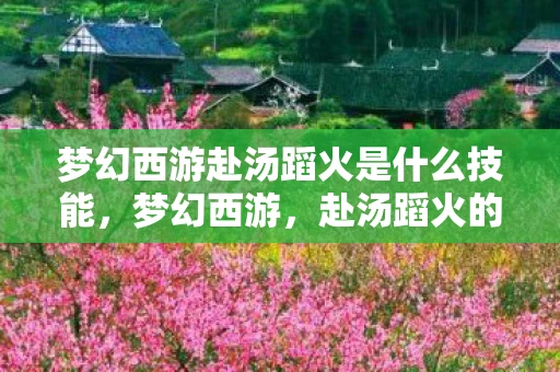 梦幻西游赴汤蹈火是什么技能，梦幻西游，赴汤蹈火的冒险之旅