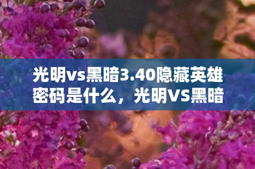光明vs黑暗3.40隐藏英雄密码是什么，光明VS黑暗3.40，揭秘隐藏英雄密码