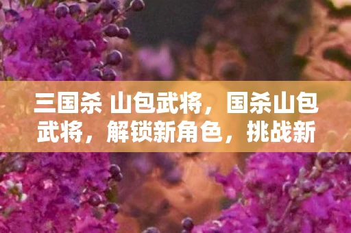 三国杀 山包武将,国杀山包武将,解锁新角色,挑战新策略 三国杀 山包武将,国杀山包武将,解锁新角色,挑战新策略