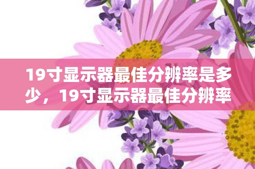 19寸显示器最佳分辨率是多少，19寸显示器最佳分辨率全解析