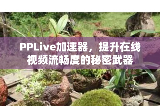 PPLive加速器,提升在线视频流畅度的秘密武器 PPLive加速器,提升在线视频流畅度的秘密武器