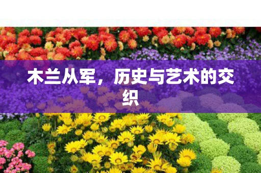 木兰从军,历史与艺术的交织 木兰从军,历史与艺术的交织
