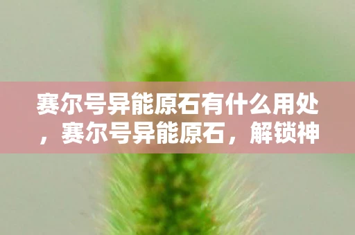 赛尔号异能原石有什么用处,赛尔号异能原石,解锁神秘力量的钥匙 赛尔号异能原石有什么用处,赛尔号异能原石,解锁神秘力量的钥匙