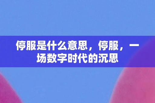 停服是什么意思，停服，一场数字时代的沉思