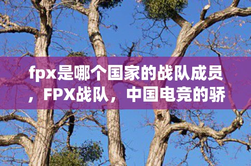 fpx是哪个国家的战队成员，FPX战队，中国电竞的骄傲