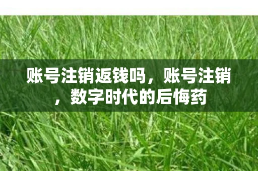 账号注销返钱吗，账号注销，数字时代的后悔药