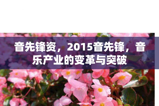 音先锋资，2015音先锋，音乐产业的变革与突破