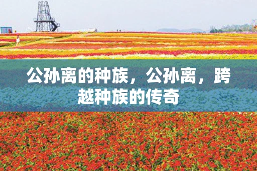 公孙离的种族,公孙离,跨越种族的传奇 公孙离的种族,公孙离,跨越种族的传奇