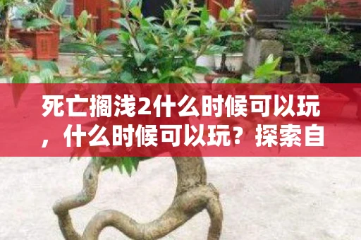 死亡搁浅2什么时候可以玩,什么时候可以玩?探索自由时间的艺术与科学 死亡搁浅2什么时候可以玩,什么时候可以玩?探索自由时间的艺术与科学