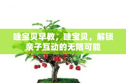 哇宝贝早教，哇宝贝，解锁亲子互动的无限可能