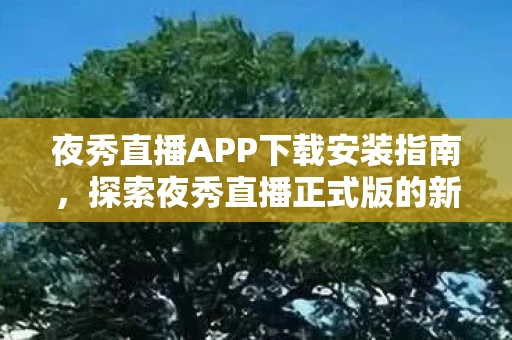 夜秀直播APP下载安装指南图片