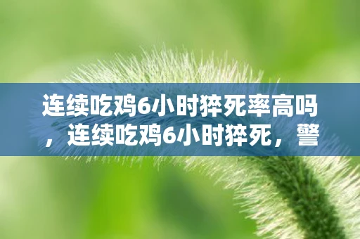 连续吃鸡6小时猝死率高吗，连续吃鸡6小时猝死，警惕游戏成瘾的危害