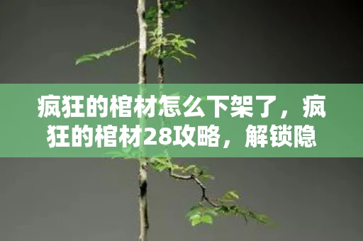 疯狂的棺材怎么下架了，疯狂的棺材28攻略，解锁隐藏关卡，挑战极限！