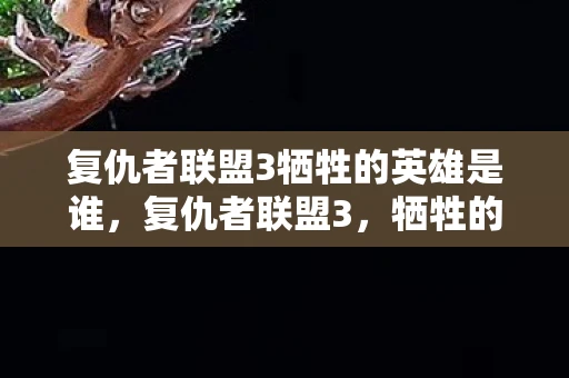 复仇者联盟3牺牲的英雄是谁，复仇者联盟3，牺牲的英雄