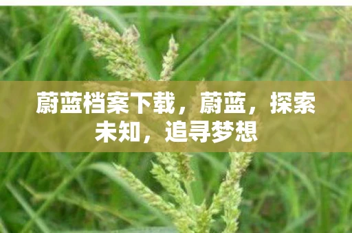 蔚蓝档案下载，蔚蓝，探索未知，追寻梦想