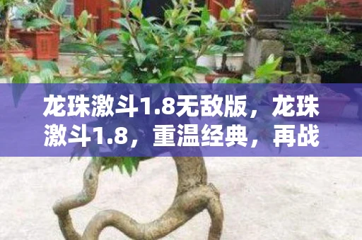 龙珠激斗1.8无敌版，龙珠激斗1.8，重温经典，再战江湖