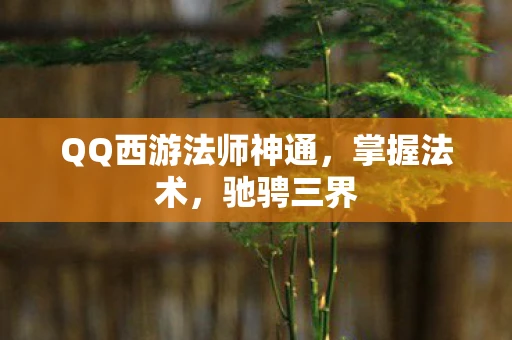 QQ西游法师神通,掌握法术,驰骋三界 QQ西游法师神通,掌握法术,驰骋三界