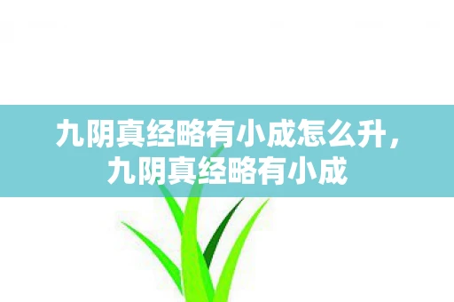 九阴真经略有小成怎么升,九阴真经略有小成 九阴真经略有小成怎么升,九阴真经略有小成