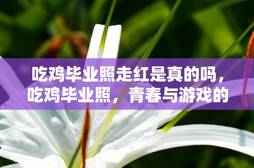 吃鸡毕业照走红是真的吗，吃鸡毕业照，青春与游戏的完美融合