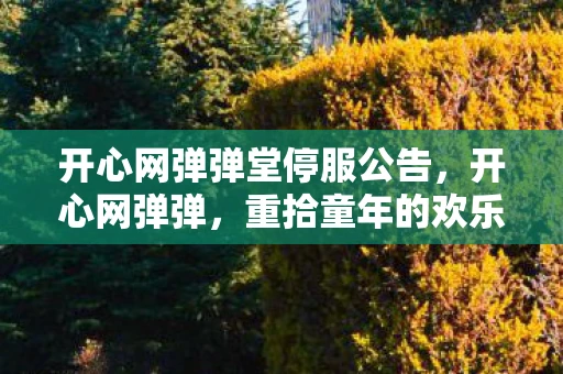 开心网弹弹堂停服公告，开心网弹弹，重拾童年的欢乐