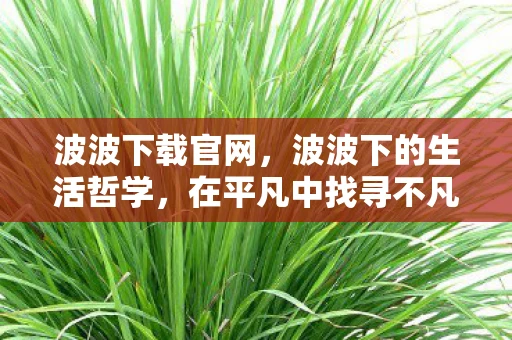 波波下载官网,波波下的生活哲学,在平凡中找寻不凡 波波下载官网,波波下的生活哲学,在平凡中找寻不凡