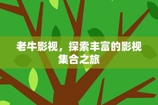 探索丰富的影视集合之旅图片