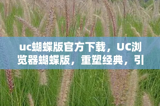 uc蝴蝶版官方下载，UC浏览器蝴蝶版，重塑经典，引领移动时代新风尚