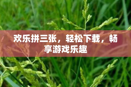 畅享游戏乐趣图片