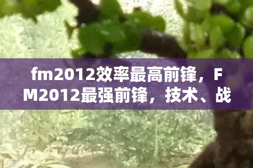 fm2012效率最高前锋，FM2012最强前锋，技术、战术与球员解析