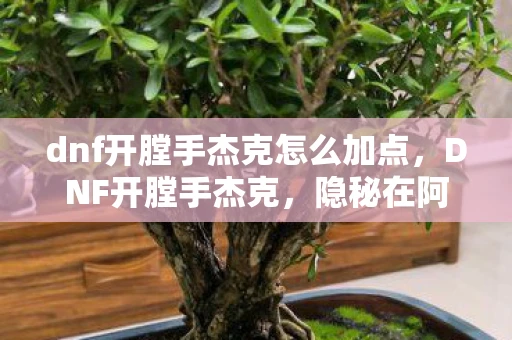 dnf开膛手杰克怎么加点,DNF开膛手杰克,隐秘在阿拉德大陆深处的神秘人物 dnf开膛手杰克怎么加点,DNF开膛手杰克,隐秘在阿拉德大陆深处的神秘人物