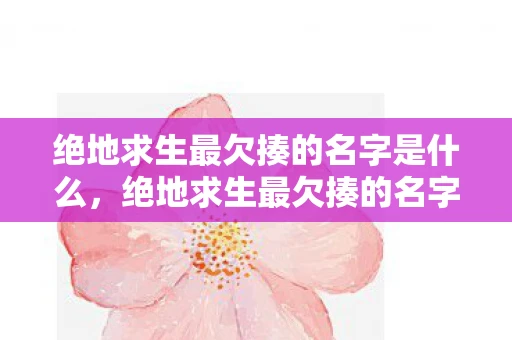 绝地求生最欠揍的名字是什么,绝地求生最欠揍的名字 绝地求生最欠揍的名字是什么,绝地求生最欠揍的名字