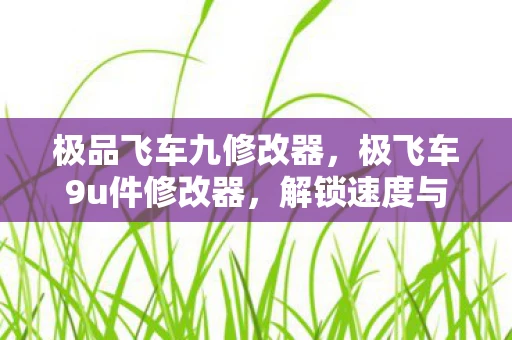 极品飞车九修改器,极飞车9u件修改器,解锁速度与激情的终极工具 极品飞车九修改器,极飞车9u件修改器,解锁速度与激情的终极工具
