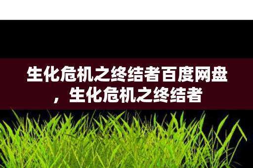 生化危机之终结者百度网盘，生化危机之终结者