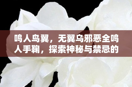 鸣人鸟翼,无翼乌邪恶全鸣人手鞠,探索神秘与禁忌的边界 鸣人鸟翼,无翼乌邪恶全鸣人手鞠,探索神秘与禁忌的边界