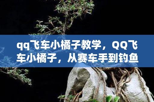 qq飞车小橘子教学，QQ飞车小橘子，从赛车手到钓鱼达人的跨界之旅