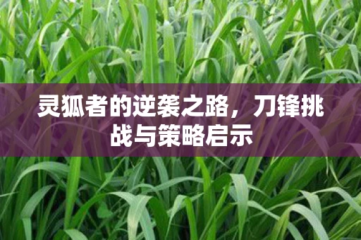刀锋挑战与策略启示图片