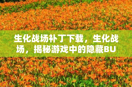 生化战场补丁下载,生化战场,揭秘游戏中的隐藏BUG 生化战场补丁下载,生化战场,揭秘游戏中的隐藏BUG