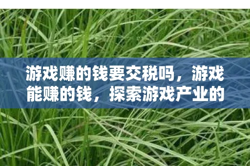 游戏赚的钱要交税吗，游戏能赚的钱，探索游戏产业的盈利之道