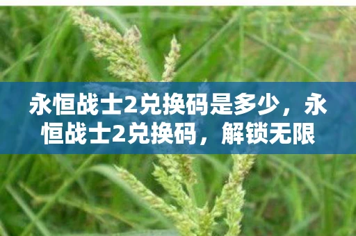 永恒战士2兑换码是多少,永恒战士2兑换码,解锁无限可能的神秘钥匙 永恒战士2兑换码是多少,永恒战士2兑换码,解锁无限可能的神秘钥匙