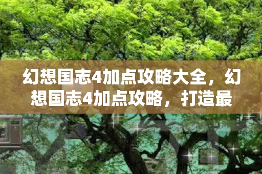 幻想国志4加点攻略大全，幻想国志4加点攻略，打造最强角色，征服幻想世界