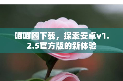 5官方版的新体验图片