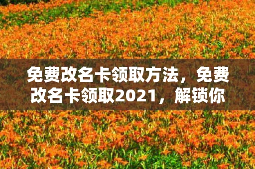 免费改名卡领取方法,免费改名卡领取2021,解锁你的新身份,重塑自我! 免费改名卡领取方法,免费改名卡领取2021,解锁你的新身份,重塑自我!