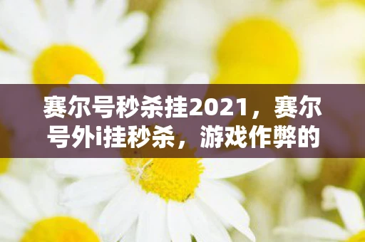 赛尔号秒杀挂2021，赛尔号外i挂秒杀，游戏作弊的警示与反思
