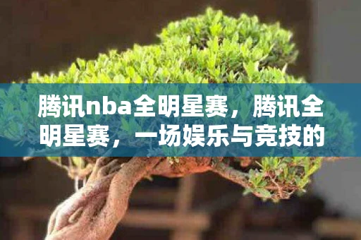 腾讯nba全明星赛，腾讯全明星赛，一场娱乐与竞技的盛宴