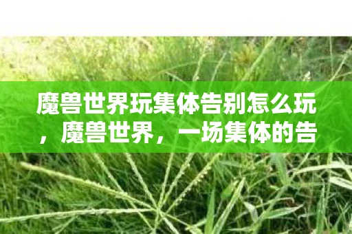 魔兽世界玩集体告别怎么玩，魔兽世界，一场集体的告别