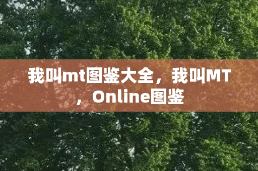 我叫mt图鉴大全，我叫MT，Online图鉴